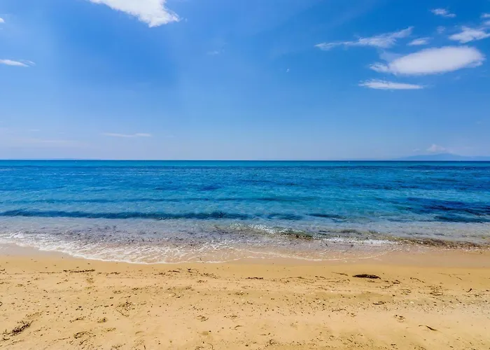 Calma Luxury #3 In Halkidiki Lejlighed