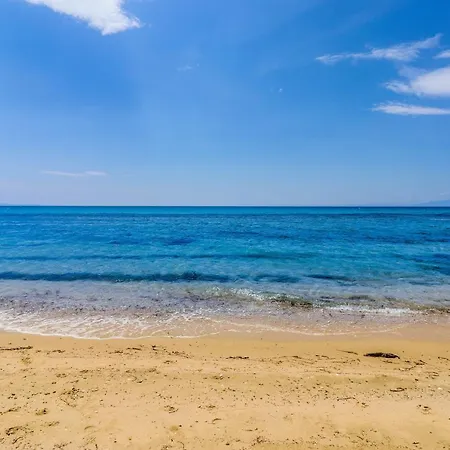 Calma Luxury #3 In Halkidiki Lejlighed